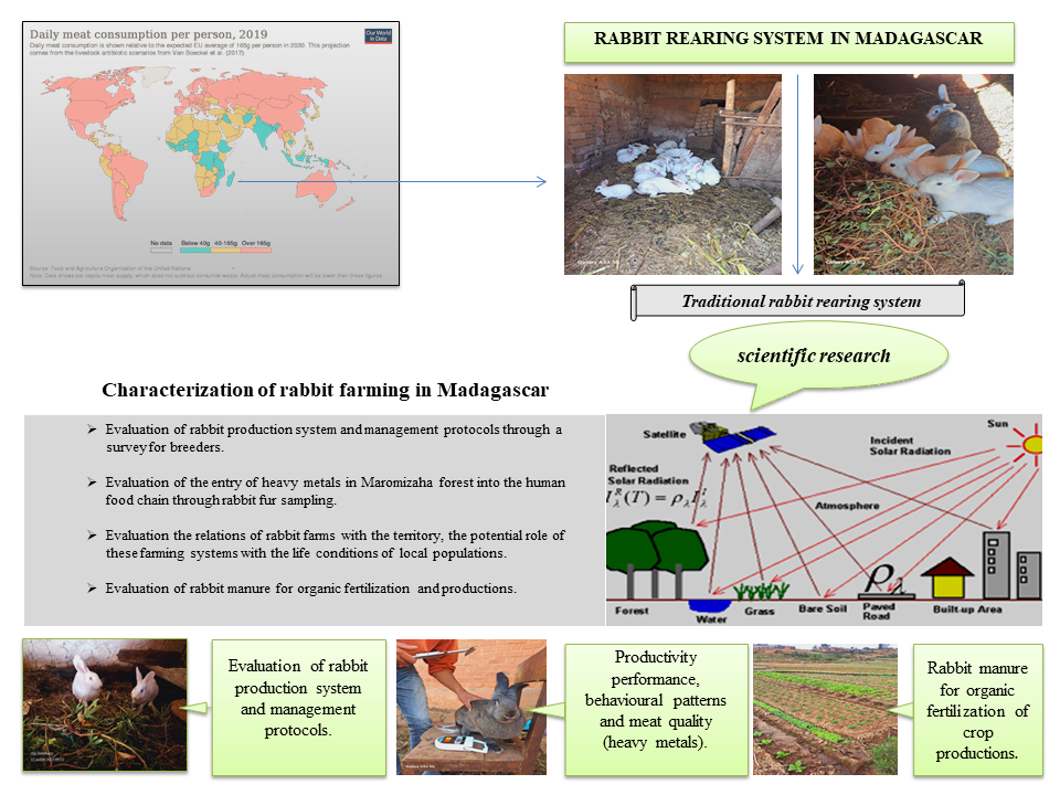 upload_SUSTNET_graphical_abstract_ALY.png